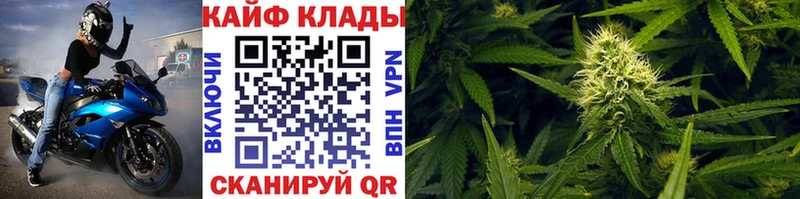 Где купить наркоту Шарья А ПВП  Галлюциногенные грибы  Конопля  Мефедрон 